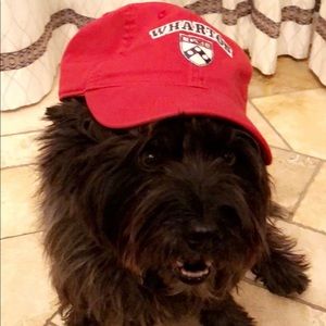 Meet your Posher, Richard